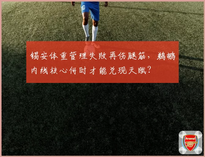 锡安体重管理失败再伤腿筋,鹈鹕内线核心何时才能兑现天赋?