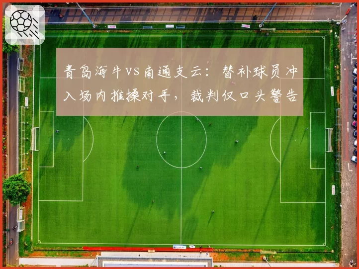 青岛海牛vs南通支云:替补球员冲入场内推搡对手,裁判仅口头警告够吗?