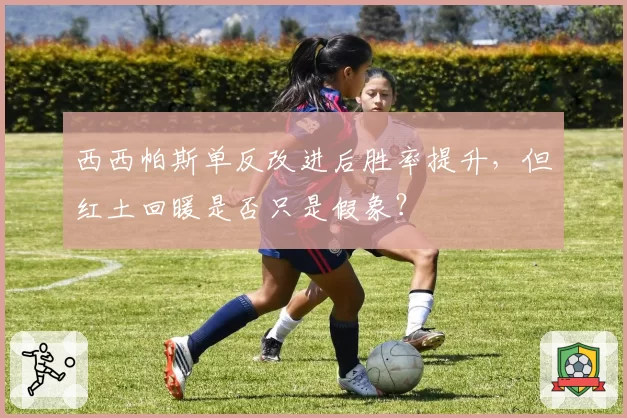 西西帕斯单反改进后胜率提升，但红土回暖是否只是假象？