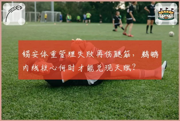 锡安体重管理失败再伤腿筋，鹈鹕内线核心何时才能兑现天赋？