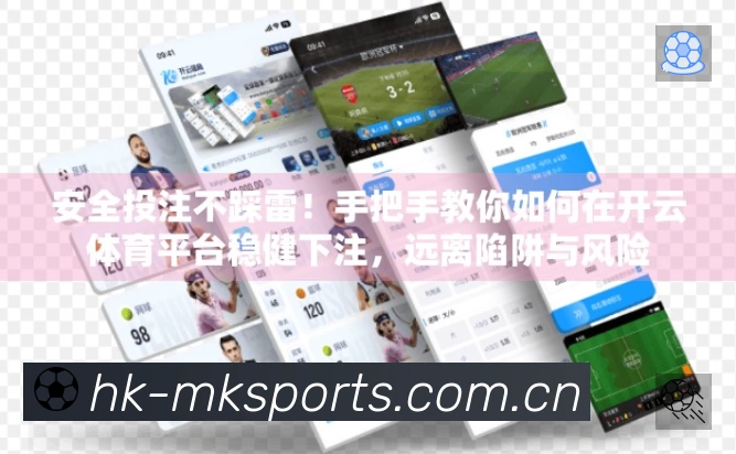 看点解析